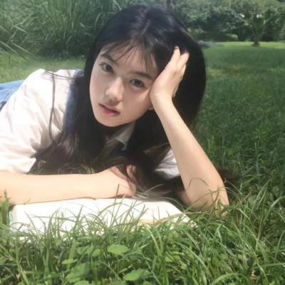 美国豚鼠2：血腥冲击